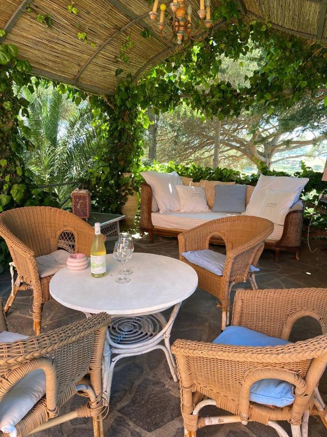 B&B Villa Il Poggetto Venturina Terme Exteriör bild