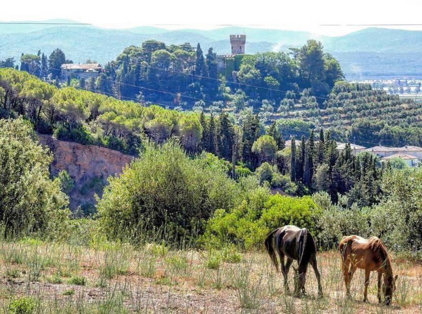 B&B Villa Il Poggetto Venturina Terme Exteriör bild