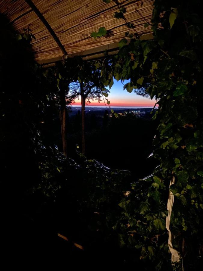 B&B Villa Il Poggetto Venturina Terme Exteriör bild
