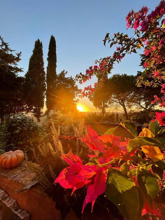 B&B Villa Il Poggetto Venturina Terme Exteriör bild