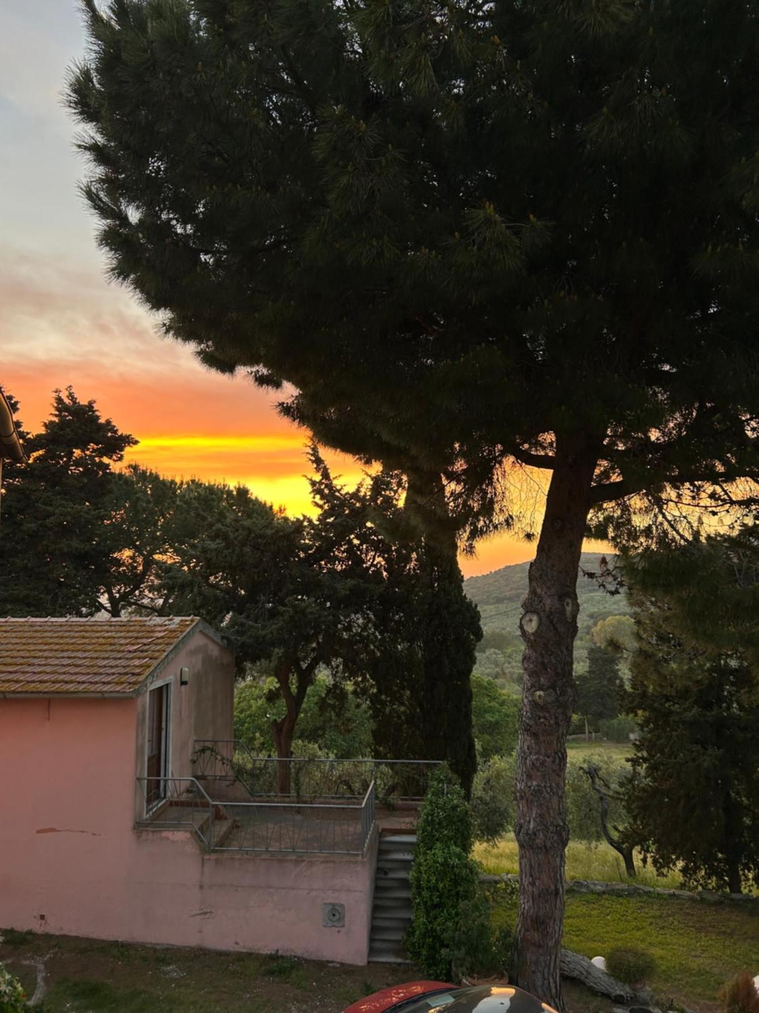B&B Villa Il Poggetto Venturina Terme Exteriör bild