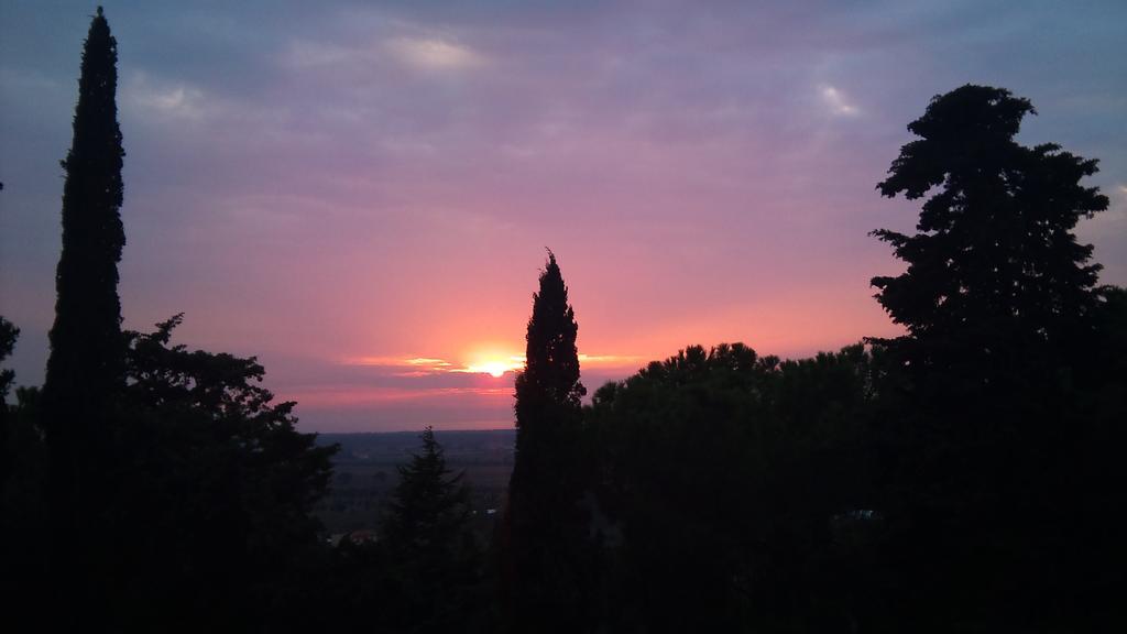 B&B Villa Il Poggetto Venturina Terme Exteriör bild
