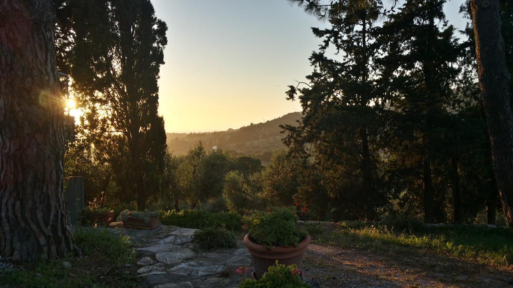 B&B Villa Il Poggetto Venturina Terme Exteriör bild