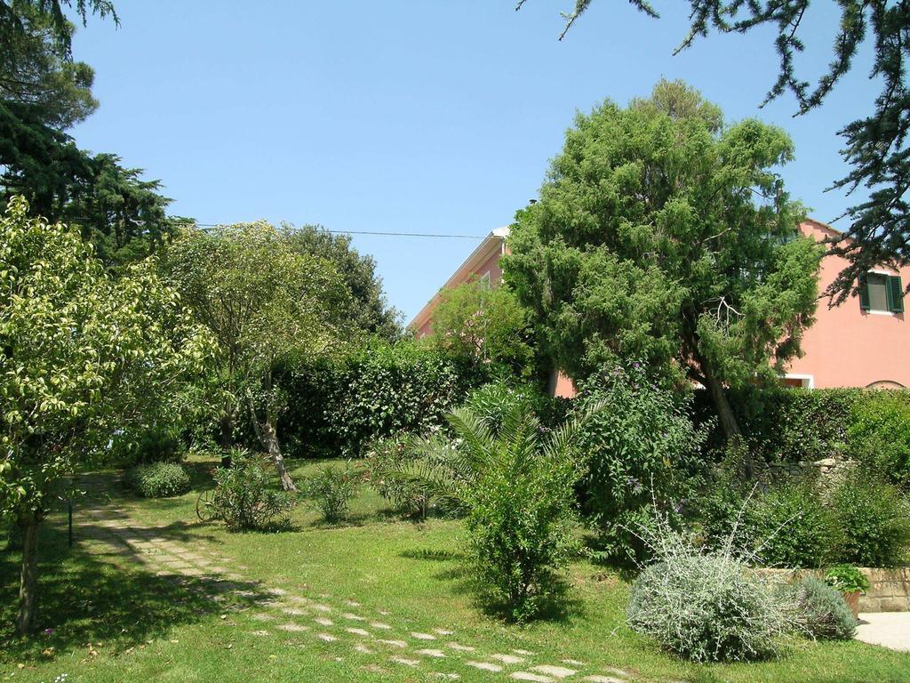 B&B Villa Il Poggetto Venturina Terme Exteriör bild